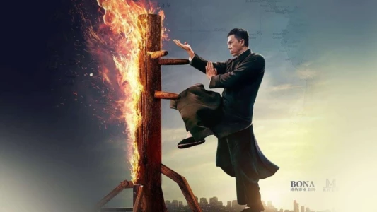 Ip Man 4: The Finale