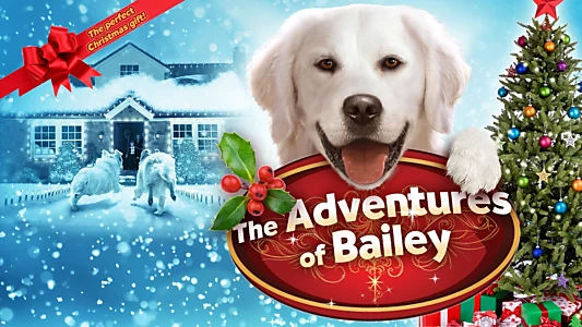 Adventures of Bailey: Christmas Hero