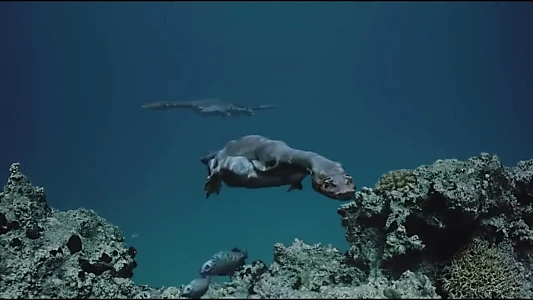 Sea Rex 3D: Journey to a Prehistoric World