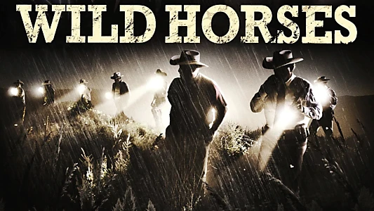 Wild Horses