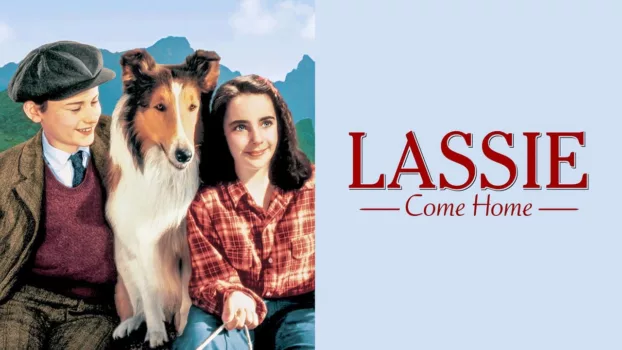 Lassie, la cadena invisible