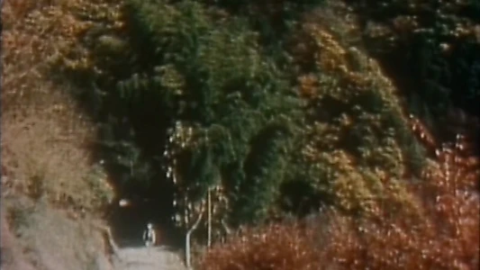 The Weald