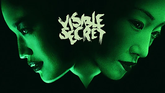 Visible Secret