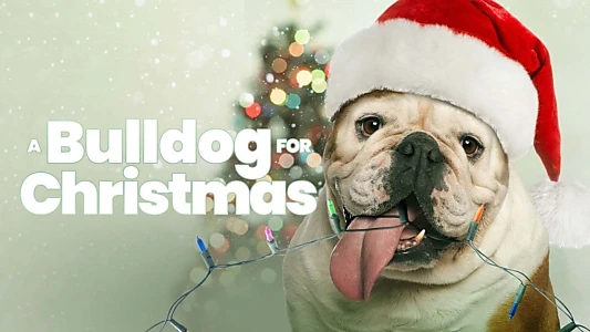 A Bulldog for Christmas