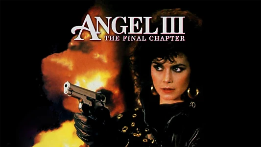 Angel III: The Final Chapter