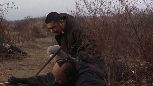 Zatoichi's Cane Sword