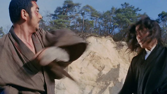 Zatoichi Meets the One-Armed Swordsman