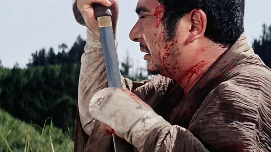 Zatoichi the Outlaw