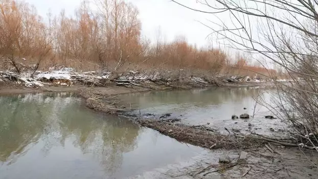 Szigetköz - The Inland Delta of the River Danube