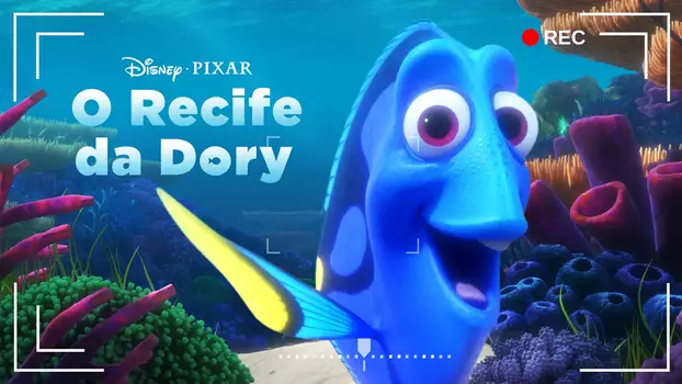 Dory's Reef Cam