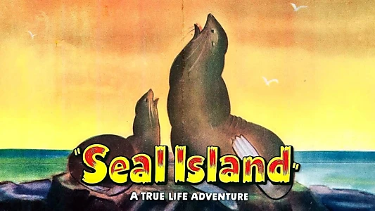 Seal Island