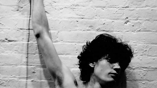 Mapplethorpe: Look at the Pictures