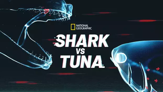 Shark vs. Tuna