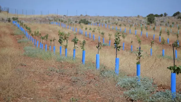 Azul la mancha