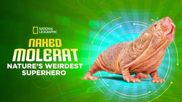 Naked Molerat: Nature’s Weirdest Superhero