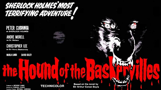 The Hound of the Baskervilles