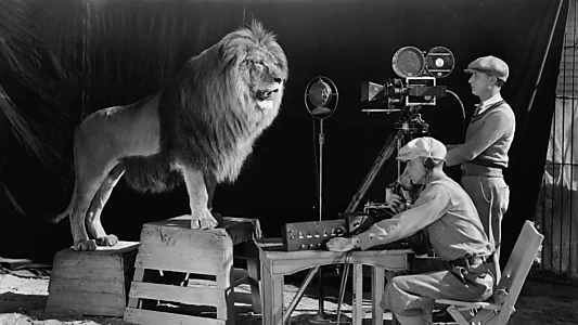 MGM: When the Lion Roars