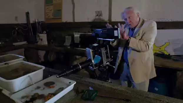 The Making Of David Attenborough's Light On Earth