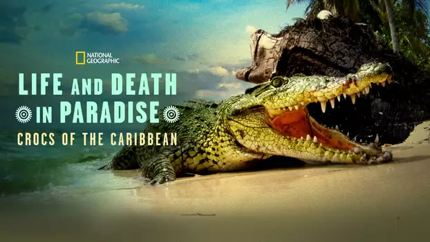 Life and Death in Paradise: Crocs of the Caribbean