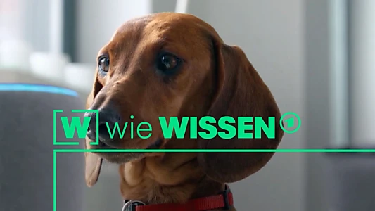 [W] wie Wissen