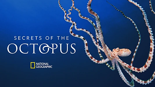 Secrets of the Octopus