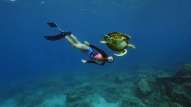 Ultimate Freedive: The Great Barrier Reef