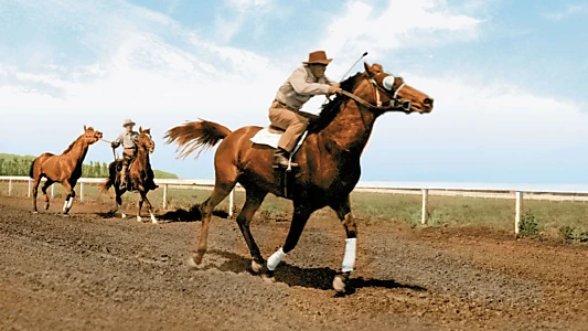 The Story of Seabiscuit