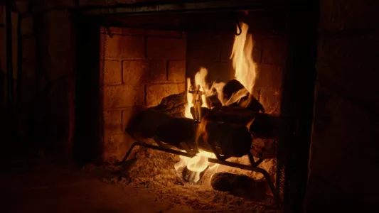 Adult Swim Yule Log (aka The Fireplace)