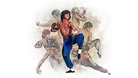 The World of Drunken Master