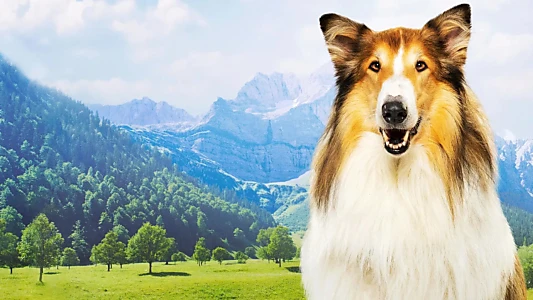 Lassie: A New Adventure