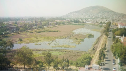 Cerro del águila