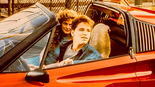 License to Drive