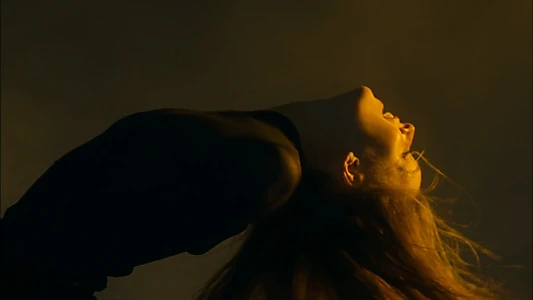 You and the Night