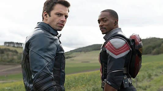 The Falcon and the Winter Soldier