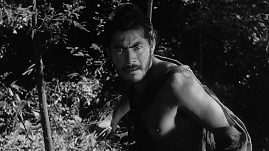 Rashomon