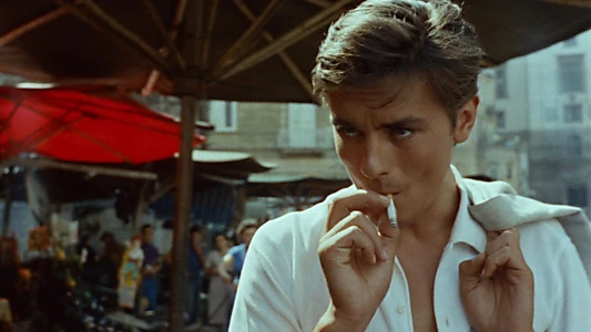 Purple Noon