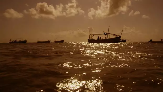 Watch Pirating pirates Trailer