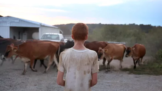 Watch Farmsteaders Trailer