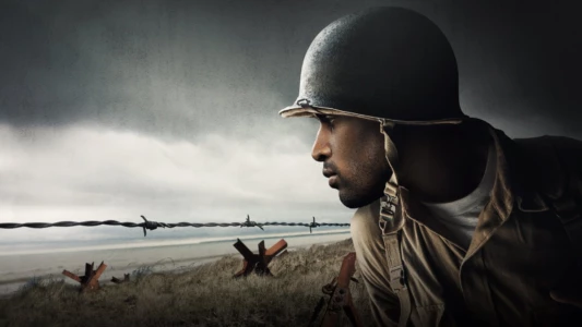 A Distant Shore: African Americans on D-Day