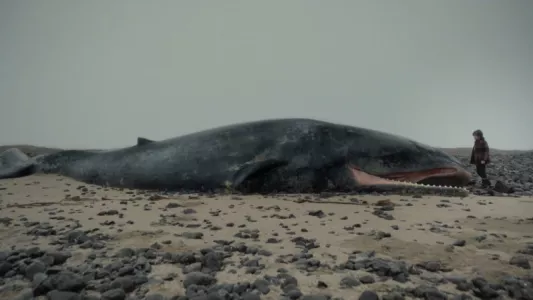 Watch Whale Valley Trailer