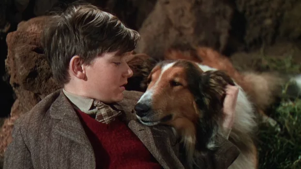 Ver el Lassie, la cadena invisible Trailer