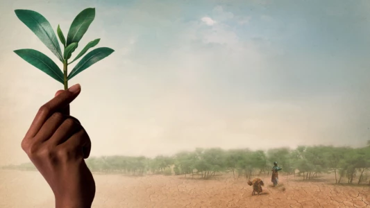 Watch The Great Green Wall Trailer