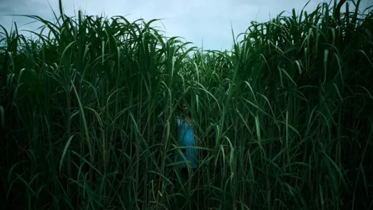 Watch In the Tall Grass Trailer