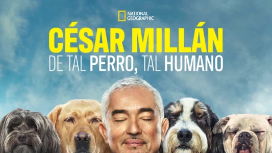 Cesar Millan: Better Human, Better Dog