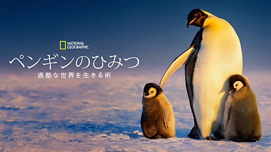 Secrets of the Penguins