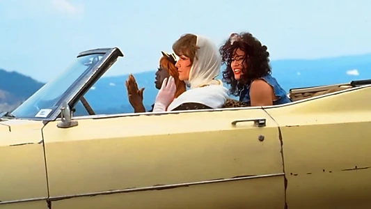 To Wong Foo, Thanks for Everything! Julie Newmar