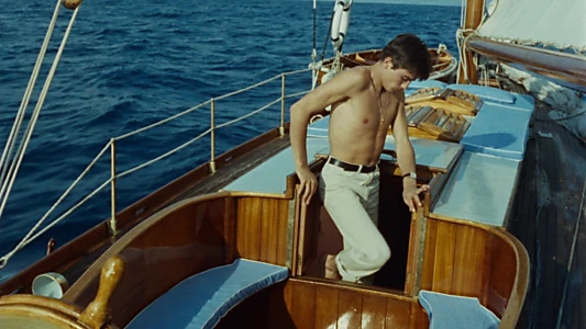 Purple Noon