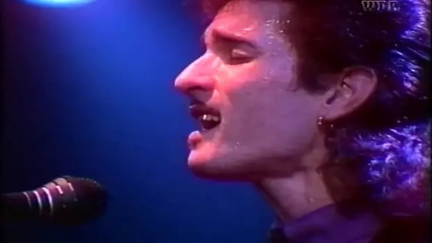 Willy DeVille: Live in the Lowlands