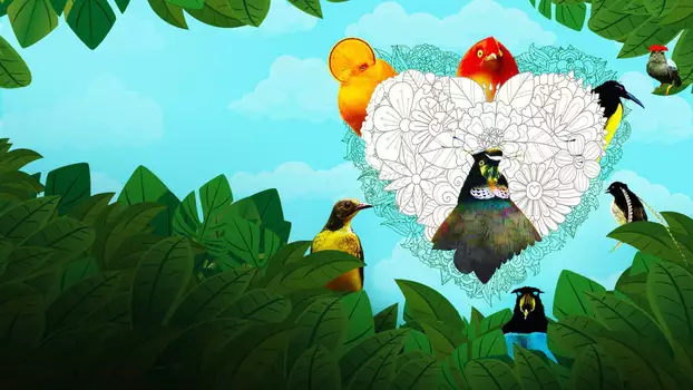 Watch Dancing with the Birds Trailer