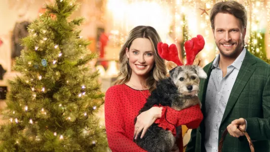 Watch Picture a Perfect Christmas Trailer